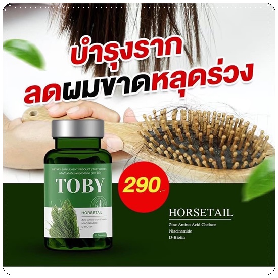 วิตามินลดผมร่วง เร่งผมยาว โทบี้ TOBY Horsetail