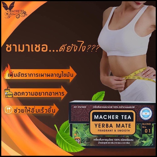 ชามาเต Macher Tea Yerba Mate