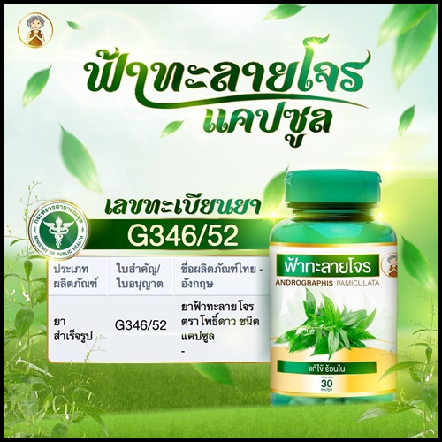 ยาสมุนไพรแคปซูล ฟ้าทะลายโจร ย่าจันทร์ (ซื้อ 1 แถม 1 + ส่งฟรี)