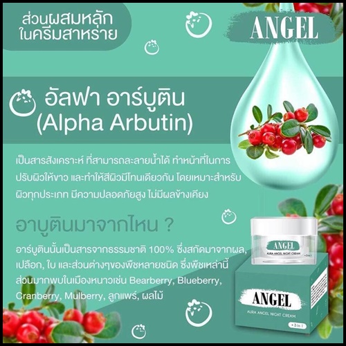ออร่าแองเจิลไนท์ครีม Angel Aura Angel Night Cream ครีมสาหร่ายหน้าใสลดสิว