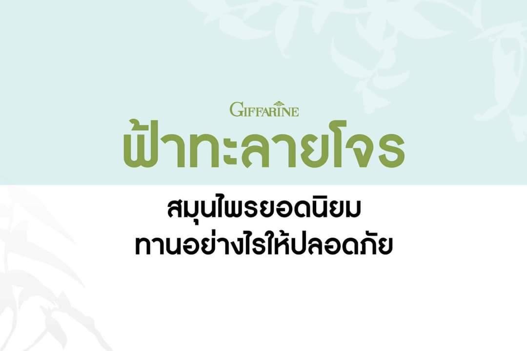 กิฟฟารีน ฟ้าทะลายโจร ฟ้าทะลายโจรสกัด กิฟฟารีน เลขทะเบียนยาG798/59