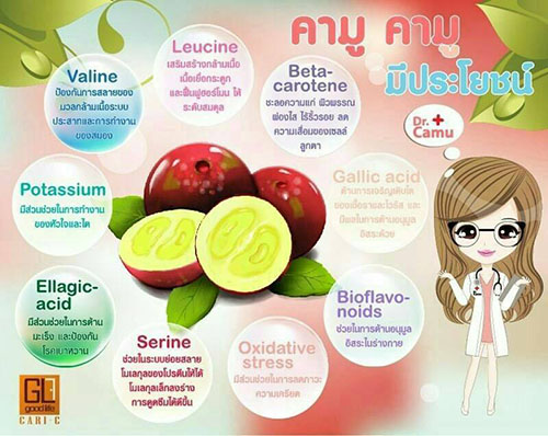 คาริ-ซี (Cari-C VitaminC camu camu complex)