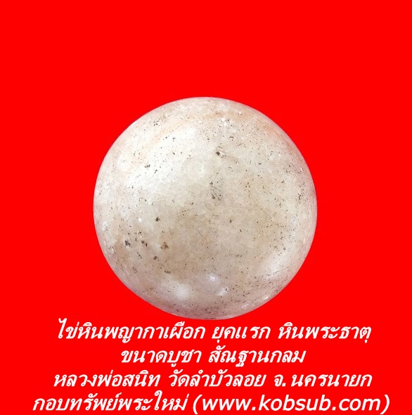 ไข่หินพญากาเผือก ยุคแรก หินพระธาตุ ขนาดบูชา สัณฐานกลม หลวงพ่อสนิท วัดลำบัวลอย