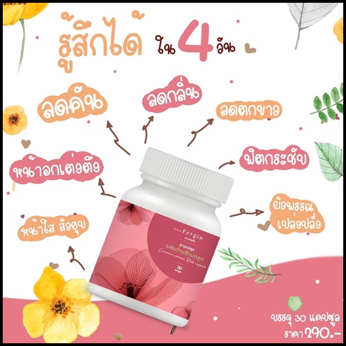 ว่านชักมดลูก Fergin เฟอร์กิ้น ฟิตกระชับ แก้ตกขาว