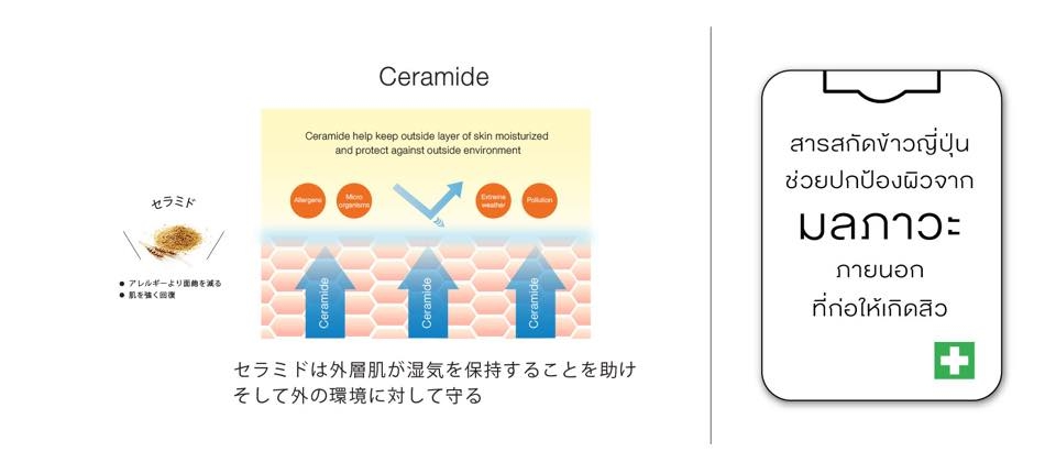 นูทริว่า เอซี ฟอร์ แอคเน่ (Nutriva AC For Acne)