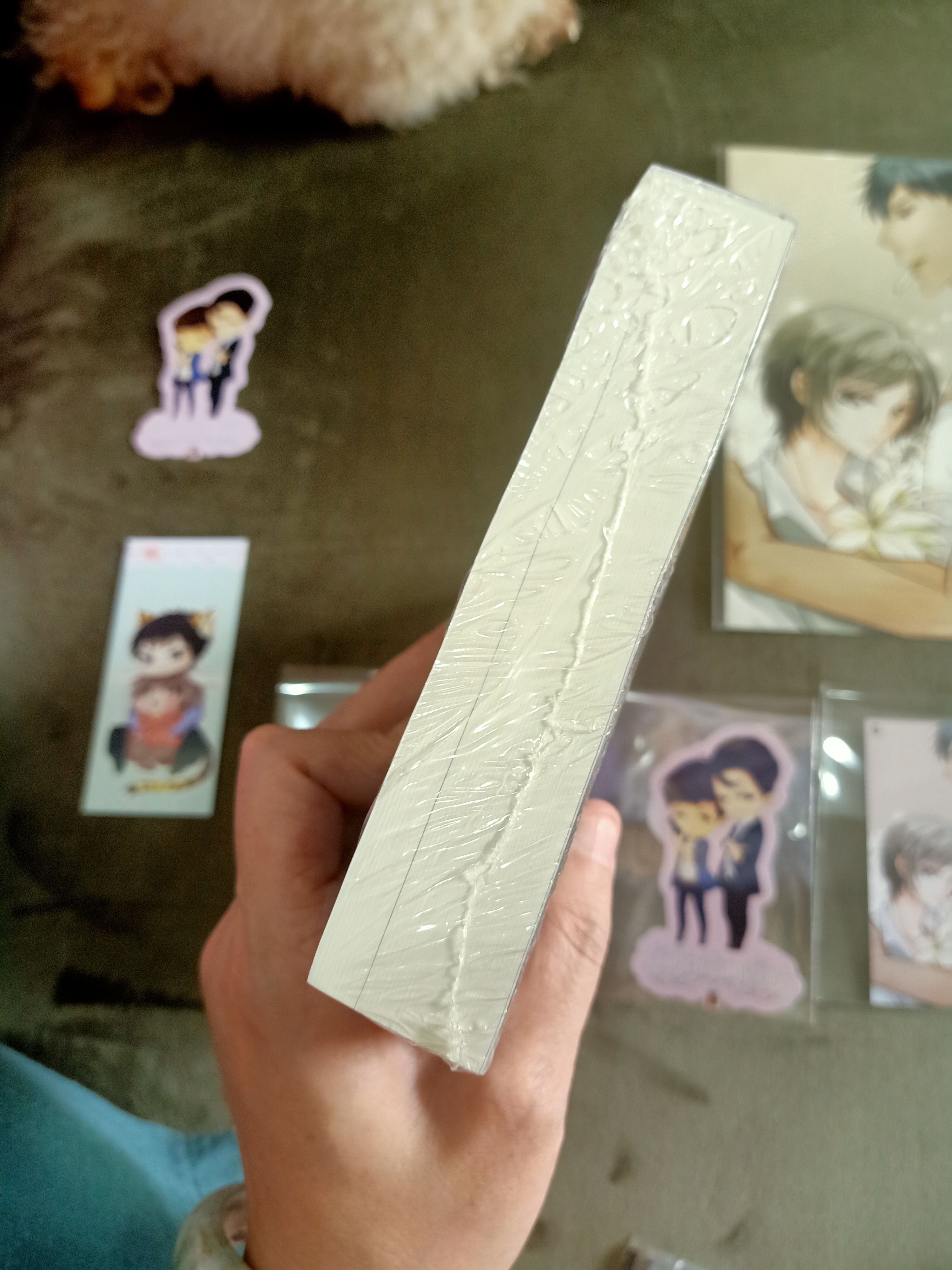 นิยาย หัวใจซ่อนรัก รอบจอง by wanmai I