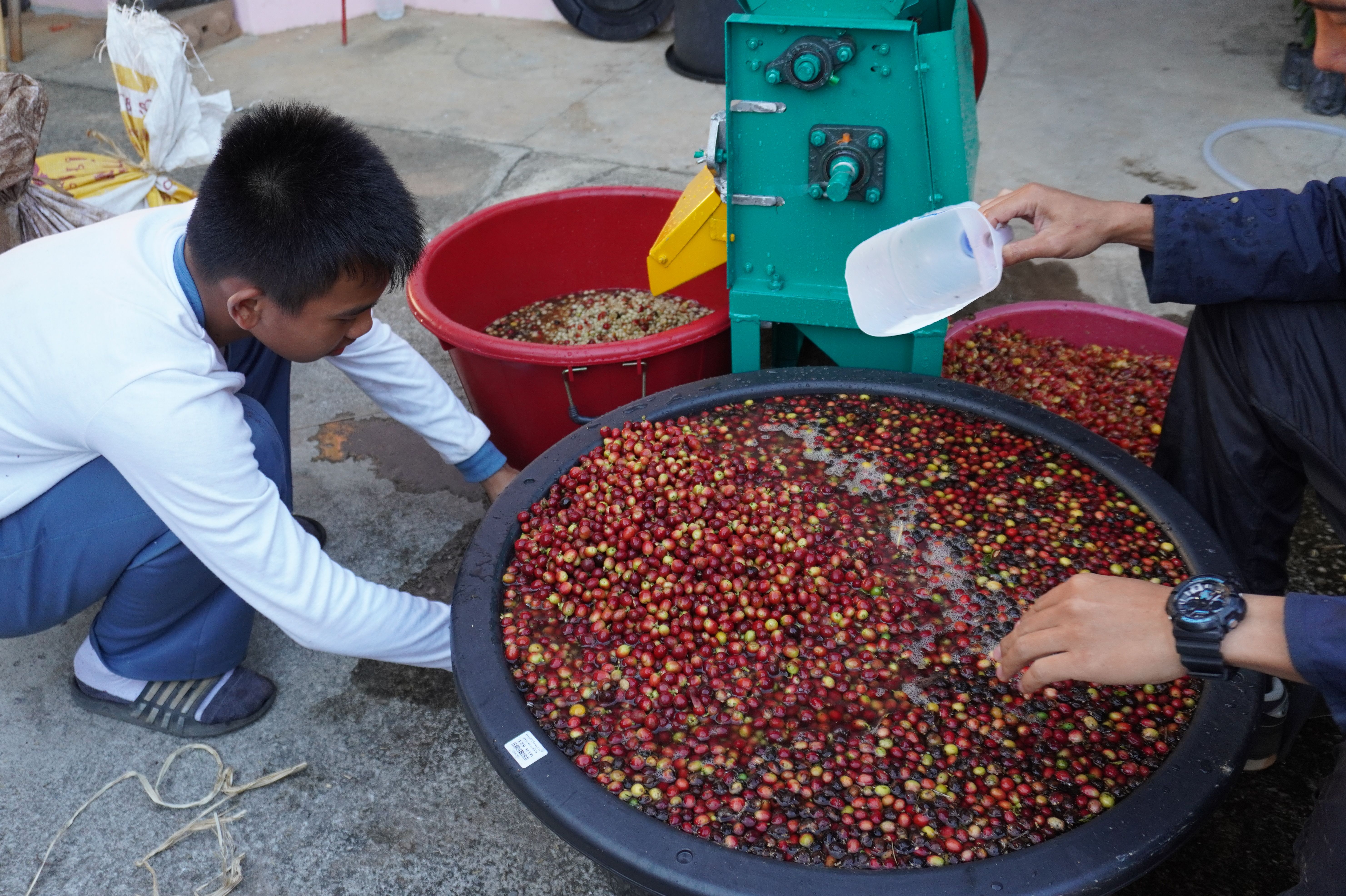 กาแฟบด ผงกาแฟ ขนาด 500 กรัม ชนิดคั่วเข้ม Ground Coffee - Medium Roast 500 g กาแฟอาราบิก้า (Arabica) 100% Shade Grown Coffee ปลูกกาแฟใต้ร่มเงา เมล็ดกาแฟออร์แกนิค ปลูกแบบธรรมชาติ ปลอดสาร จากยอดดอย อ.แม่อาย จ.เชียงใหม่