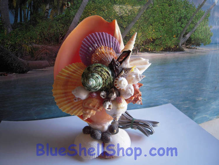 โคมไฟหอยโข่งเหลือง