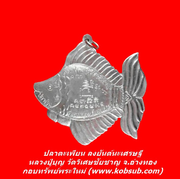 ปลาตะเพียน หลวงปู่บุญ วัดวิเศษชัยชาญ