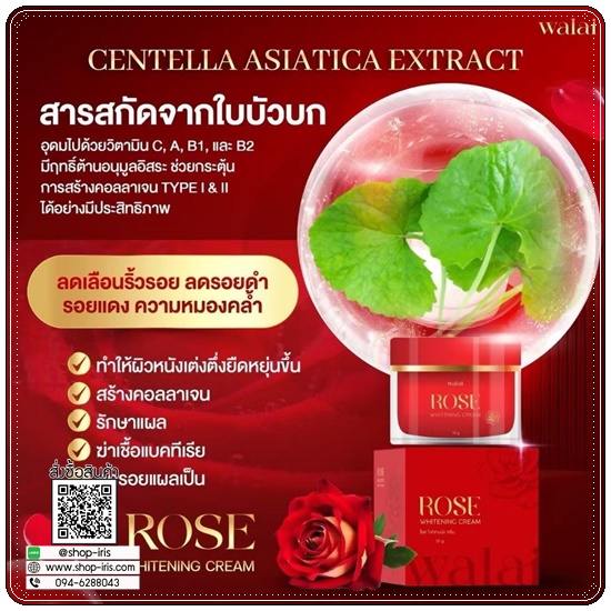 ครีมกุหลาบ Walai Rose Whitening Cream วลัย โรส ไวท์เทนนิ่ง ครีม
