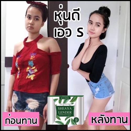 เชญ่า เลนเดอร์ อาหารเสริมควบคุมน้ำหนัก Sheaya Lender