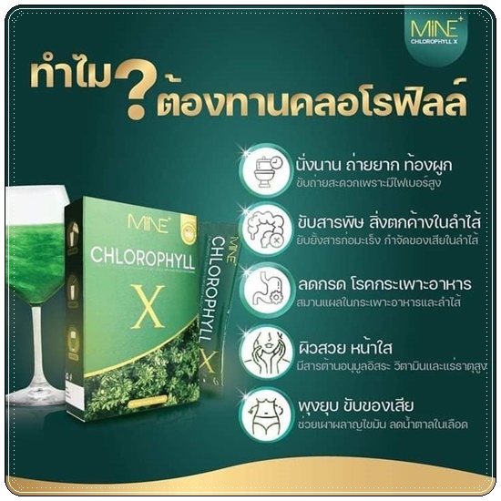 คลอโรฟิลล์ เอ็กซ์ CHLOROPHYLL X คลอโรฟิลล์มายมิ้น
