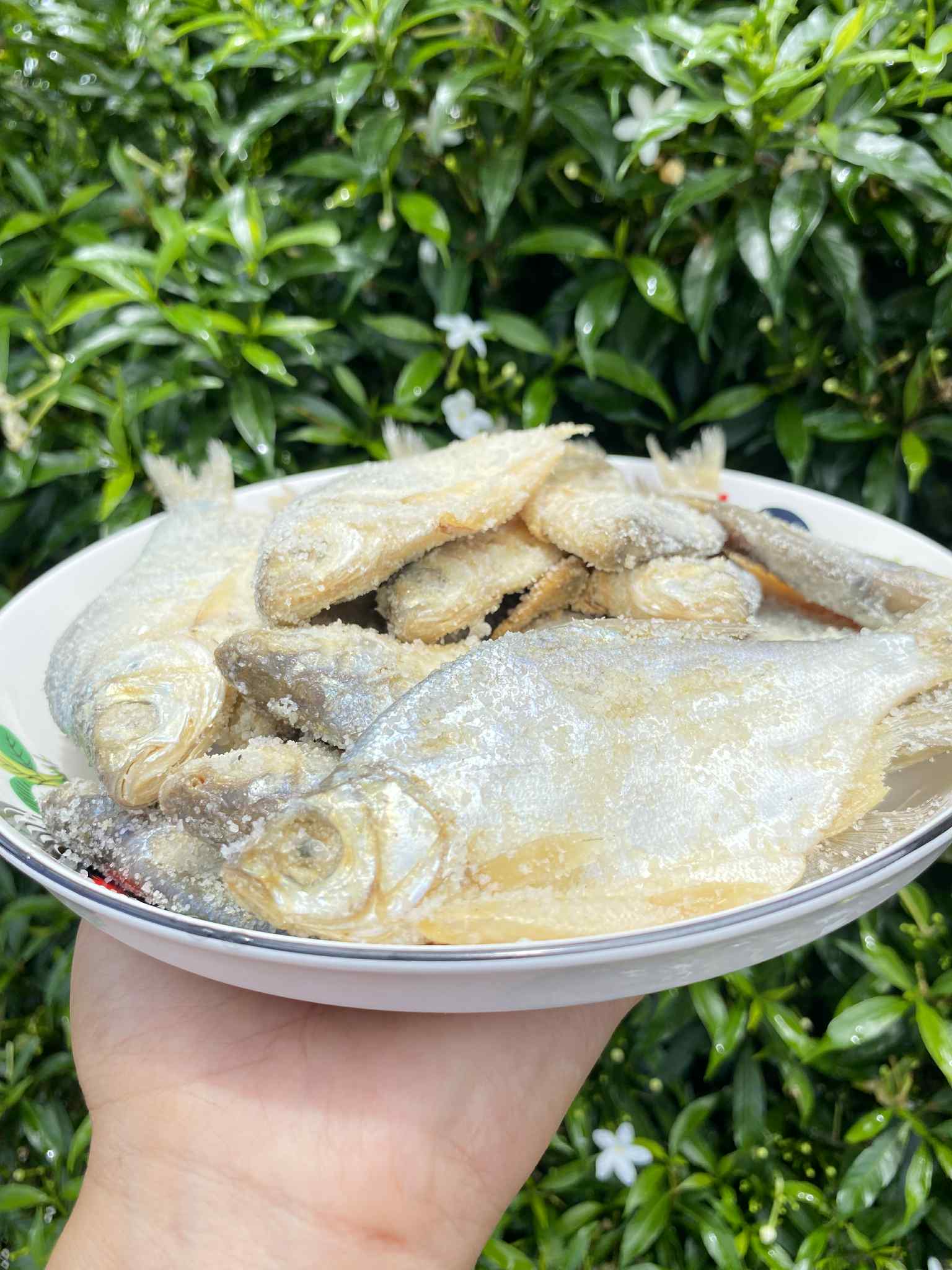 ปลาหมักเกลือ ปลาเน่า น้ำหนัก 1 กิโลกรัม Fermented Fish - Burmese Style Pickled Fish นำไปประกอบอาหารได้หลากหลายชนิด รับประกันความอร่อย 🐟 ปลาหมักเกลือ - ปลาเน่าเก็ดเซ 🐟 ပႃႇၸႃႇ - ပႃႇၸႃႇၶမ်းၵႅတ်းသေ