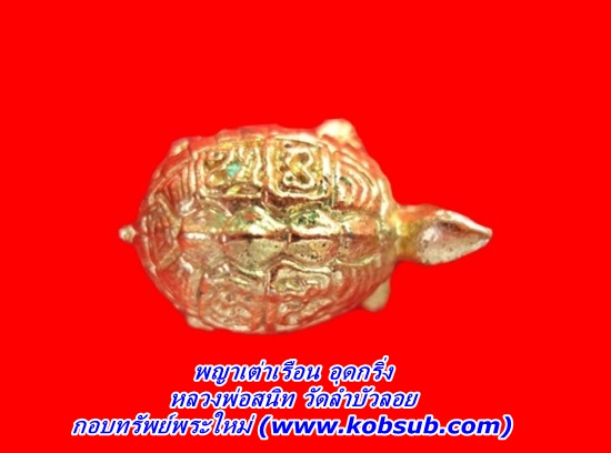 พญาเต่าเรือนอุดกริ่ง หลวงพ่อสนิท วัดลำบัวลอย จ.นครนายก