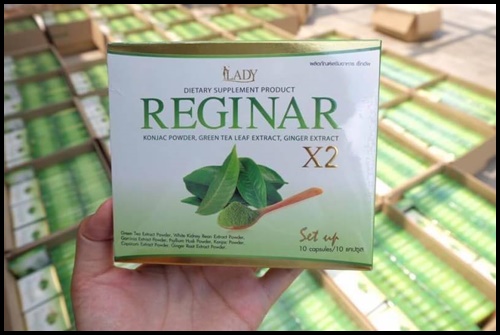 รีจิน่า REGINAR สูตรล้มช้าง