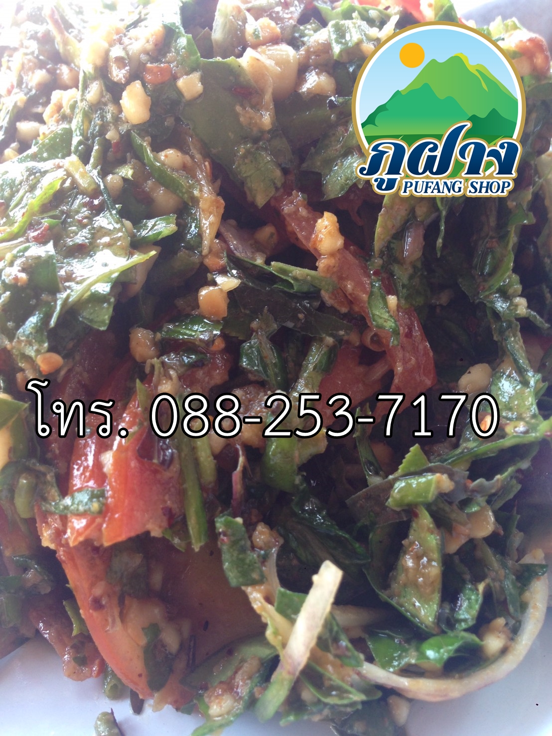 ใบชาสด ขนาด 500 กรัม ชาเขียวอัสสัมแบบสด ASSAM GREEN TEA ชาออแกร์นิค ชาป่า จากดอยลาง อ.แม่อาย สามารถนำไปประกอบอาหาร เช่น ยำเมี่ยง (ยำใบชา) สินค้า Preoder ต้องสั่งล่วงหน้า**