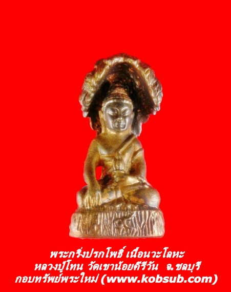 พระกริ่งปรกโพธิ์ เนื้อนวะโลหะ หลวงปู่โทน วัดเขาน้อยคีรีวัน
