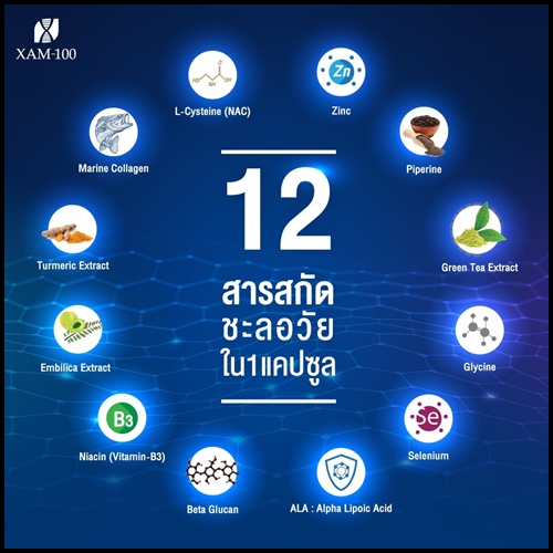XAM-100 แซม วันฮันเดร็ด อาหารเสริมชะลอวัย By แซมยุรนันท์