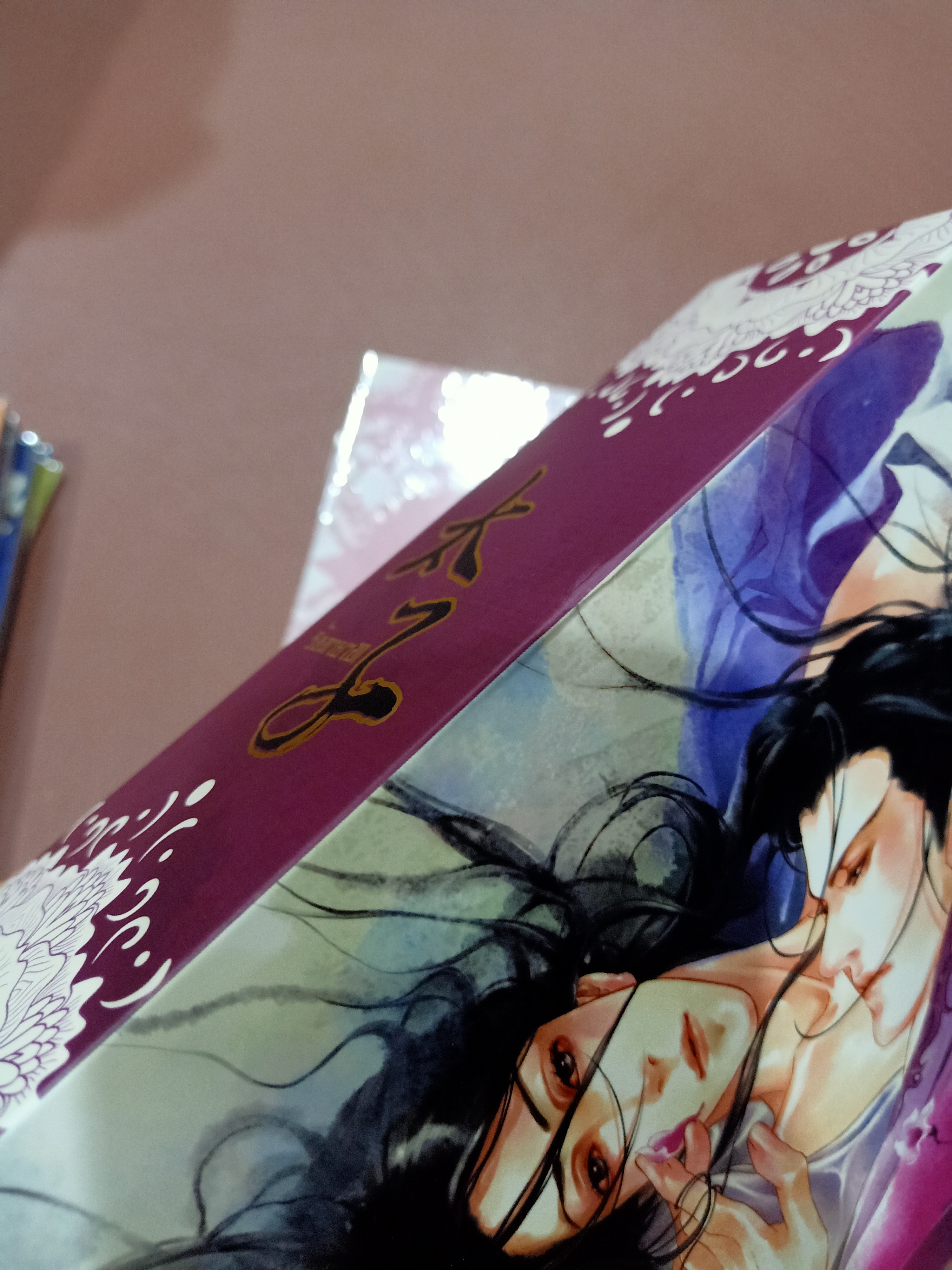 Boxset นิยายแปล รัชทายาท 5 เล่ม รอบจอง ฉบับรีปิ้น + การ์ตูน 3 เล่ม + เล่มพิเศษ + โดจิน