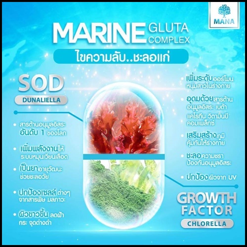 MANA Marine Gluta Complex มานา มารีน กลูต้า คอมเพล็กซ์