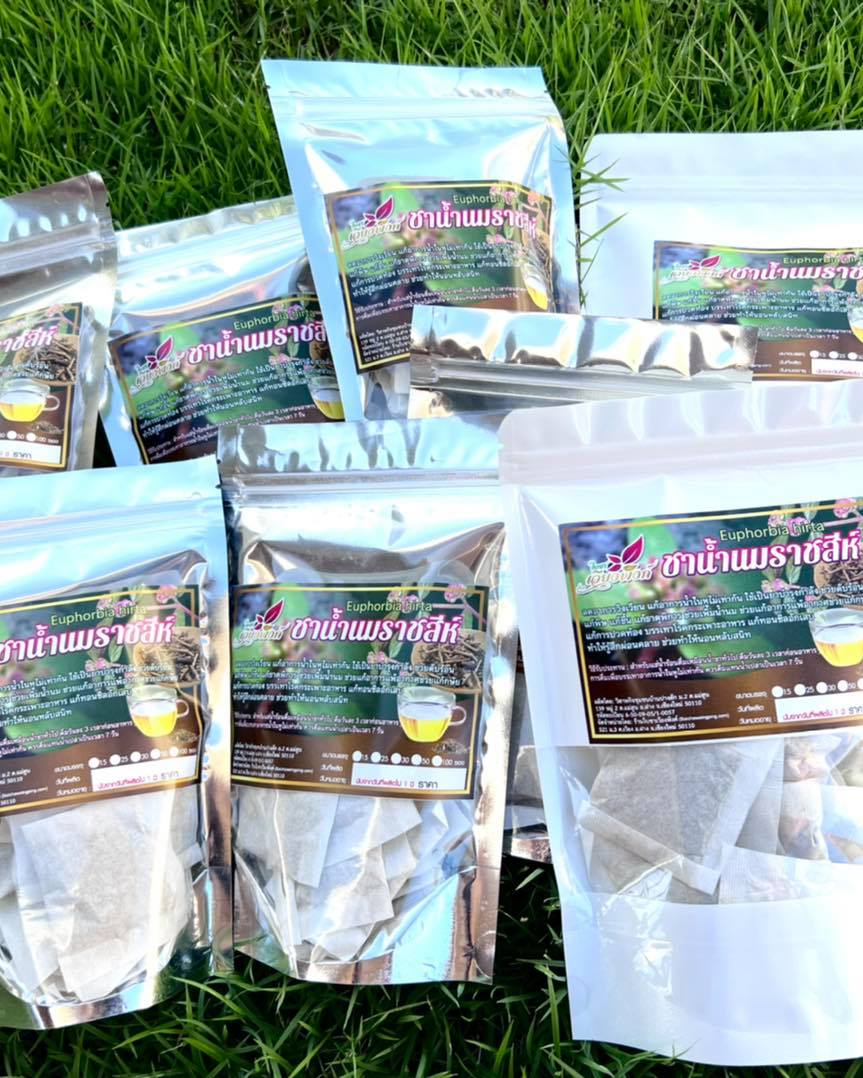 ชาน้ำนมราชสีห์ (ใบชาเวียงพิงค์) Garden spurge ขนาด 50 ซองชา สมุนไพรน้ำนมราชสีห์ บรรเทาอาการน้ำในหูไม่เท่ากัน เวียนหัว บ้านหมุน ช่วยกระตุ้นระบบภูมิคุ้มกันในร่างกาย