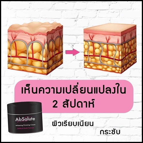 ABSOLUTE Whitening Firming Cream ครีมสลายไขมัน กระชับสัดส่วน