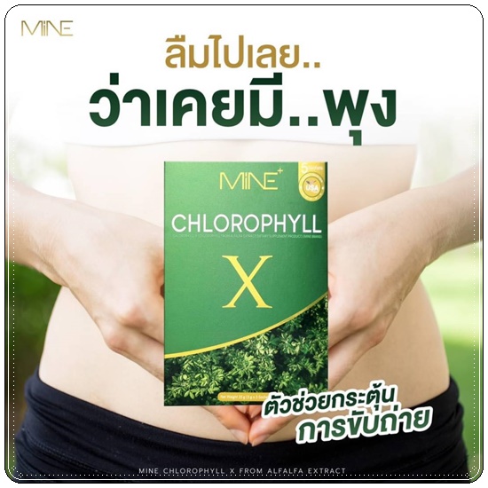 คลอโรฟิลล์ เอ็กซ์ CHLOROPHYLL X คลอโรฟิลล์มายมิ้น