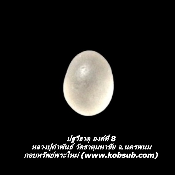 ปฐวีธาตุ องค์ที่ 8 หลวงปู่คำพันธ์ วัดธาตุมหาชัย จ.นครพนม
