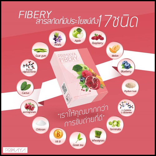 พรีมายา ไฟเบอรี่ Primaya Fibery