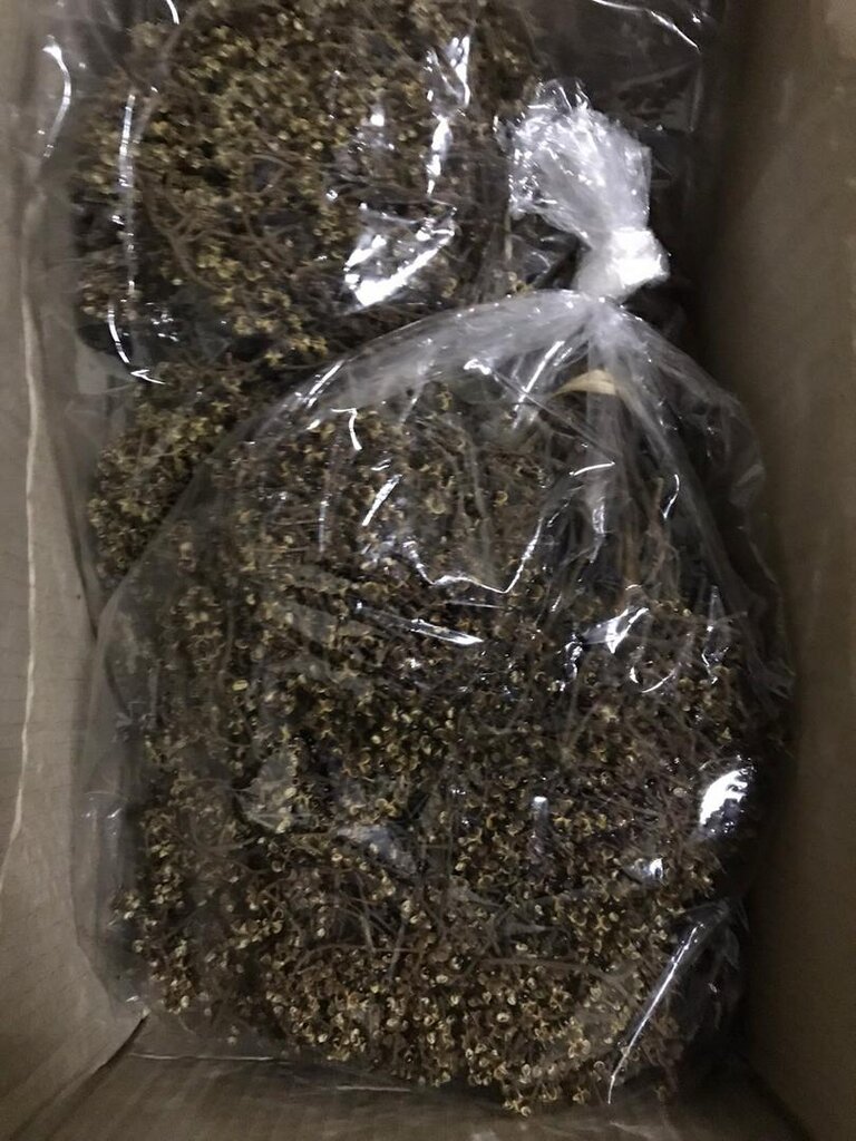 มะแข่น มะแขว่น 1kg (1กิโล)🔥 มะแขว่นคนเหนือ ลูกระมาศ หมากมาศ พริกไทยเสฉวน เครื่องเทศลาบ ลาบหมู หลู้ แกงฮังเล น้ำพริกอ่อง ไส้อั่ว เครื่องเทศเมืองเหนือ อาหารพื้นเมือง สมุนไพรไทย ของดีเชียงใหม่ ราคาส่ง | Zanthoxylum 1kg Sichuan Pepper Thai Spice Larb