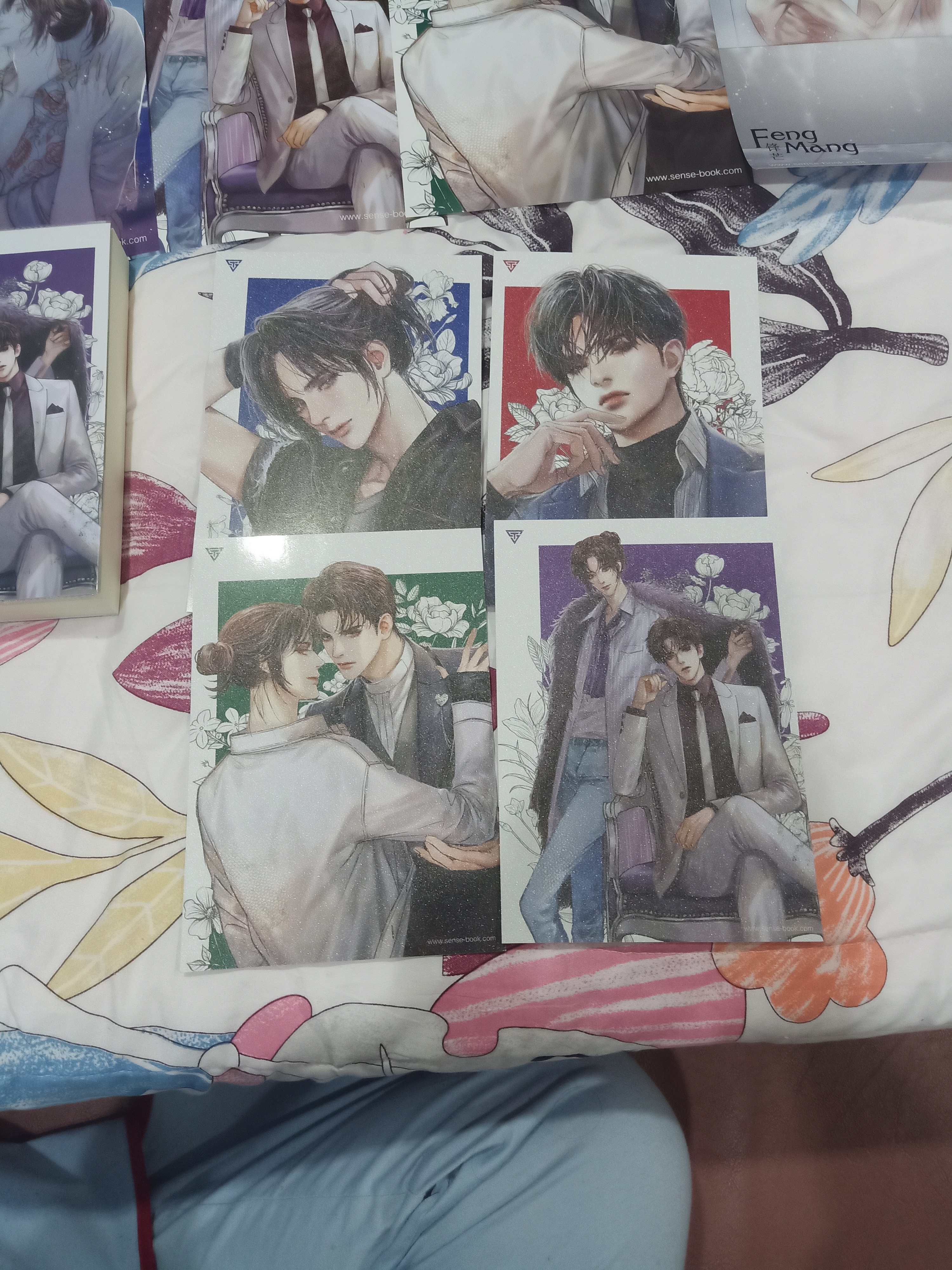 Boxset นิยายแปล Feng Mang รอบจอง