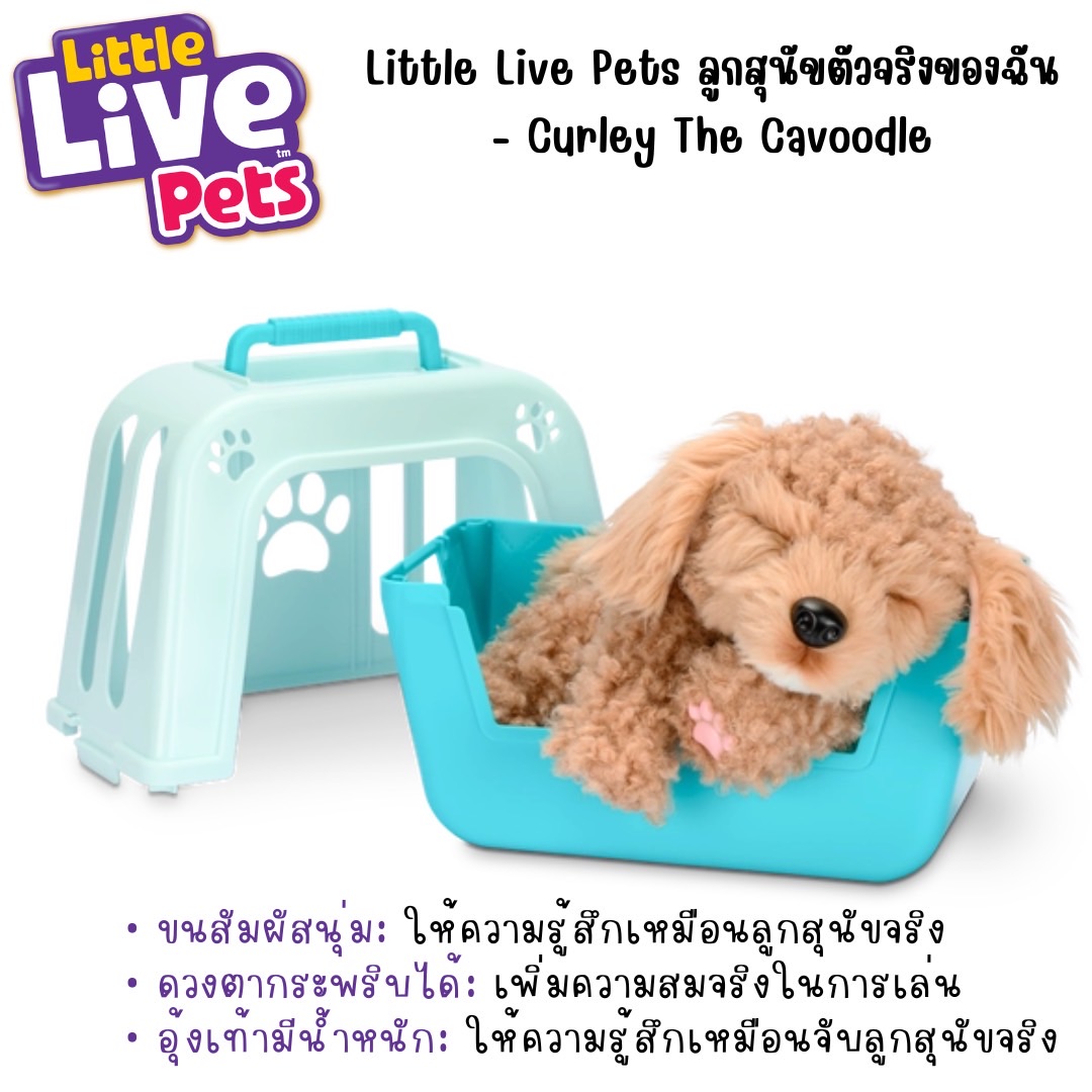 นำเข้า 🇺🇸 Live Pets My Really Real Puppy ✨ Curley The Cavoodle - เพื่อนรักขนฟูตัวใหม่ของคุณ 🐶 ราคา 2,990 บาท