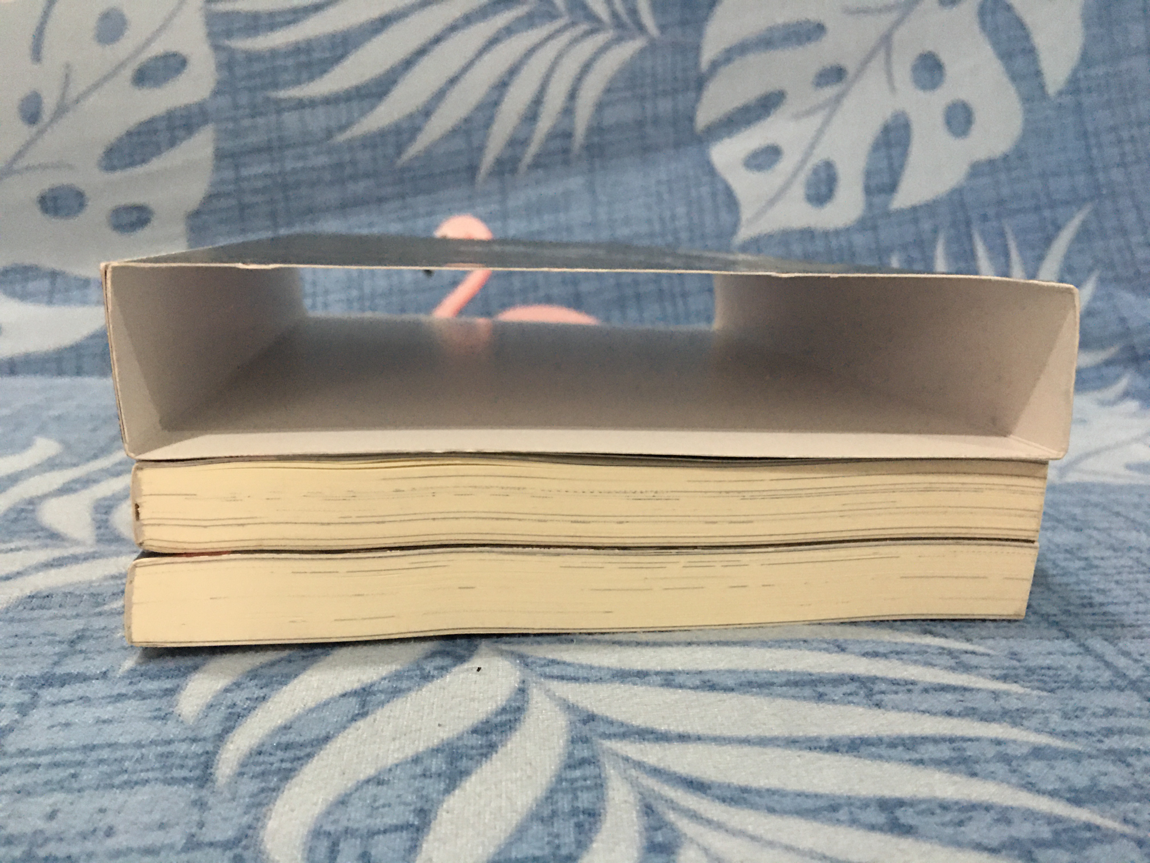 นิยายแปล ตราบสิ้นแสงตะวัน 2 เล่มจบ + ปลอกสวม