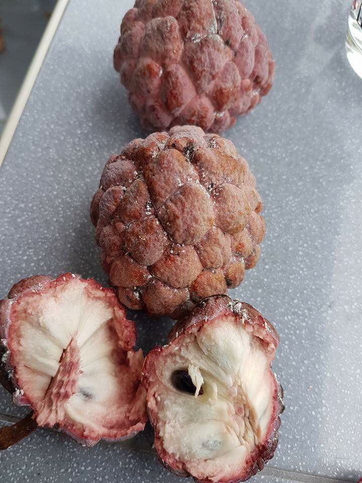 น้อยหน่าหนังครั่ง - Nang Krang Sugar apple