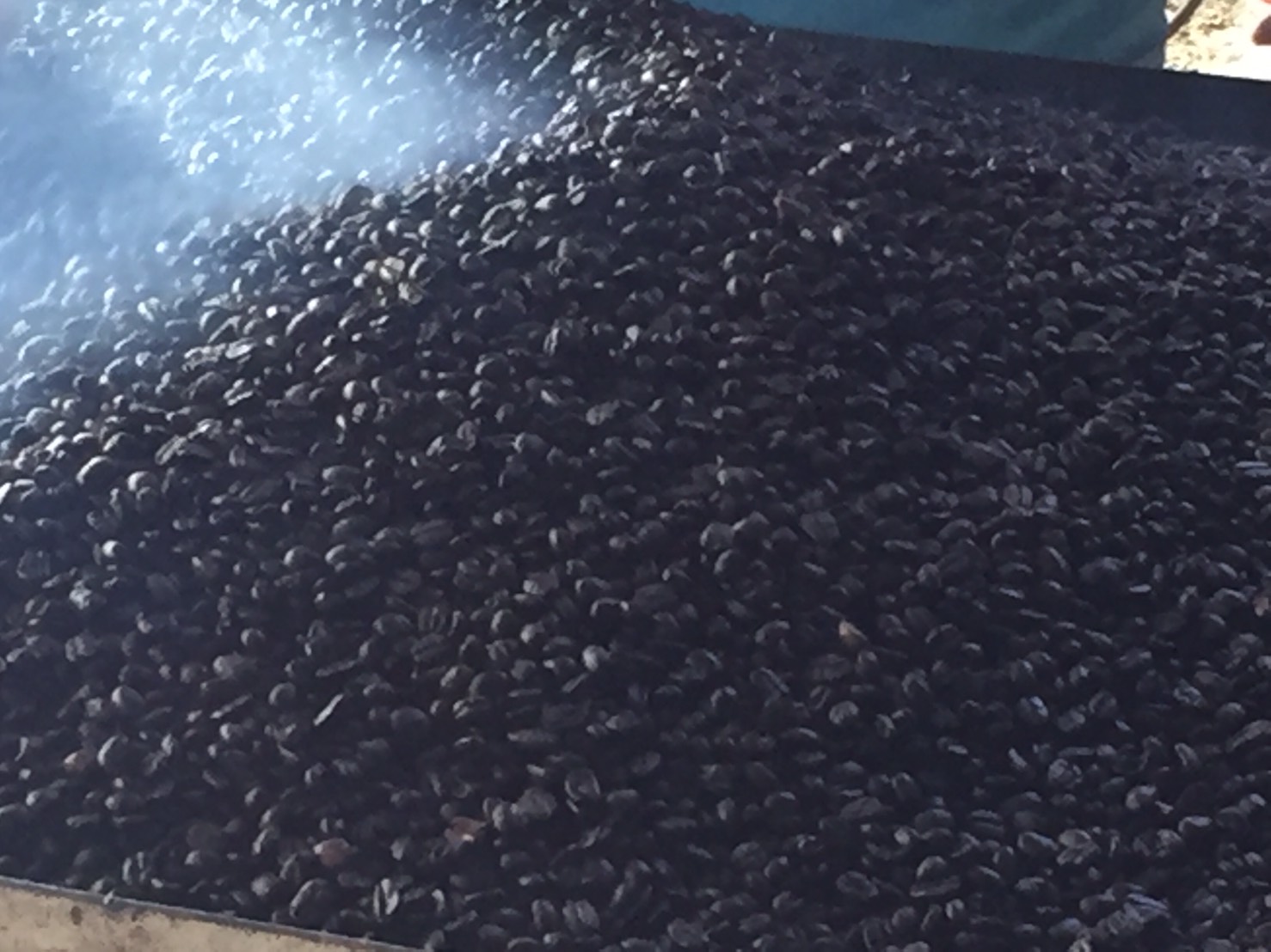 เมล็ดกาแฟ ชนิดคั่วเข้ม ขนาด 500 กรัม Roasted Bean Coffee - Dark Roast 500 g กาแฟอาราบิก้า (Arabica) 100% Shade Grown Coffee ปลูกกาแฟใต้ร่มเงา เมล็ดกาแฟออร์แกนิค ปลูกแบบธรรมชาติ ปลอดสาร จากยอดดอย อ.แม่อาย จ.เชียงใหม่