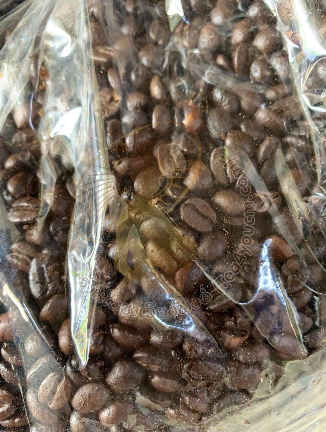 ☕✨กาแฟบด 500 กรัม คั่วกลาง✨☕ เพลิดเพลินกับกาแฟคั่วบด Ground Coffee - Dark Roast 500 g ☕กาแฟคั่วบด กาแฟอาราบิก้า (Arabica) 100% Shade Grown Coffee ปลูกกาแฟใต้ร่มเงา เมล็ดกาแฟออร์แกนิค ปลูกแบบธรรมชาติ ปลอดสาร จากยอดดอย อ.แ