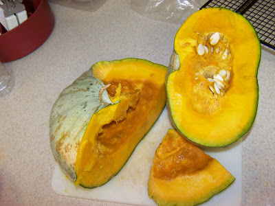 ฟักทองเทศเนื้อหวาน - Sweet Meat Squash