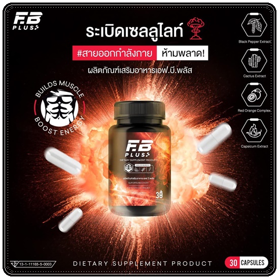 เอฟบีพลัส FB Plus เร่งเบิร์น เร่งเผาผลาญ (ของแท้ ส่งฟรี)