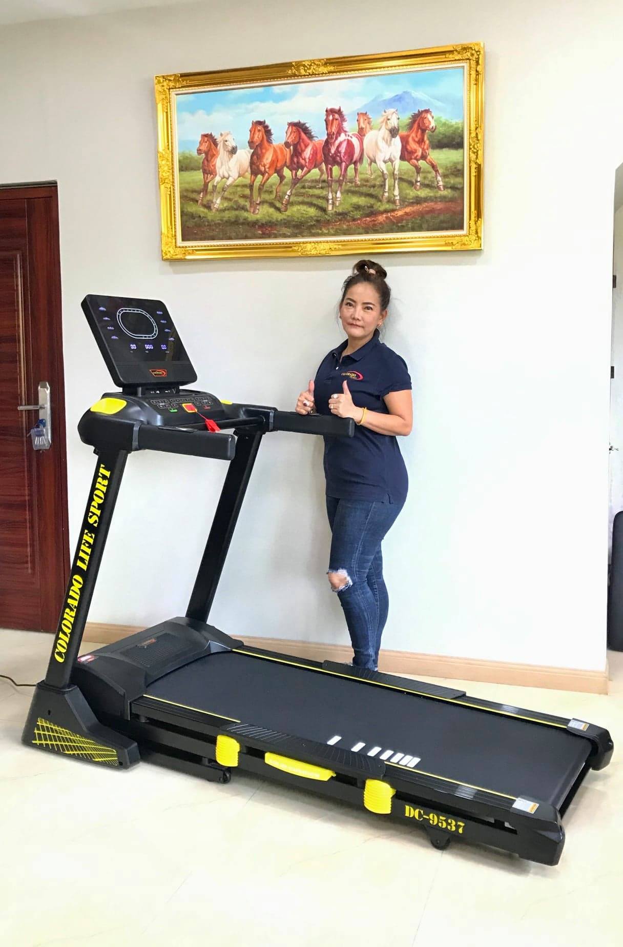 ลู่วิ่งไฟฟ้า COLORADO รุ่น 9538/ AC3.0HP