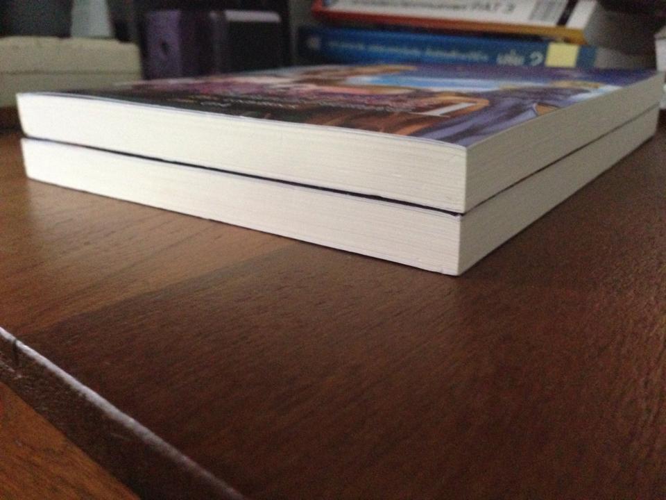 The Merchants พ่อค้าแห่งฟลอเรนเซีย เล่ม 1-2 (จบ)/Lady Black