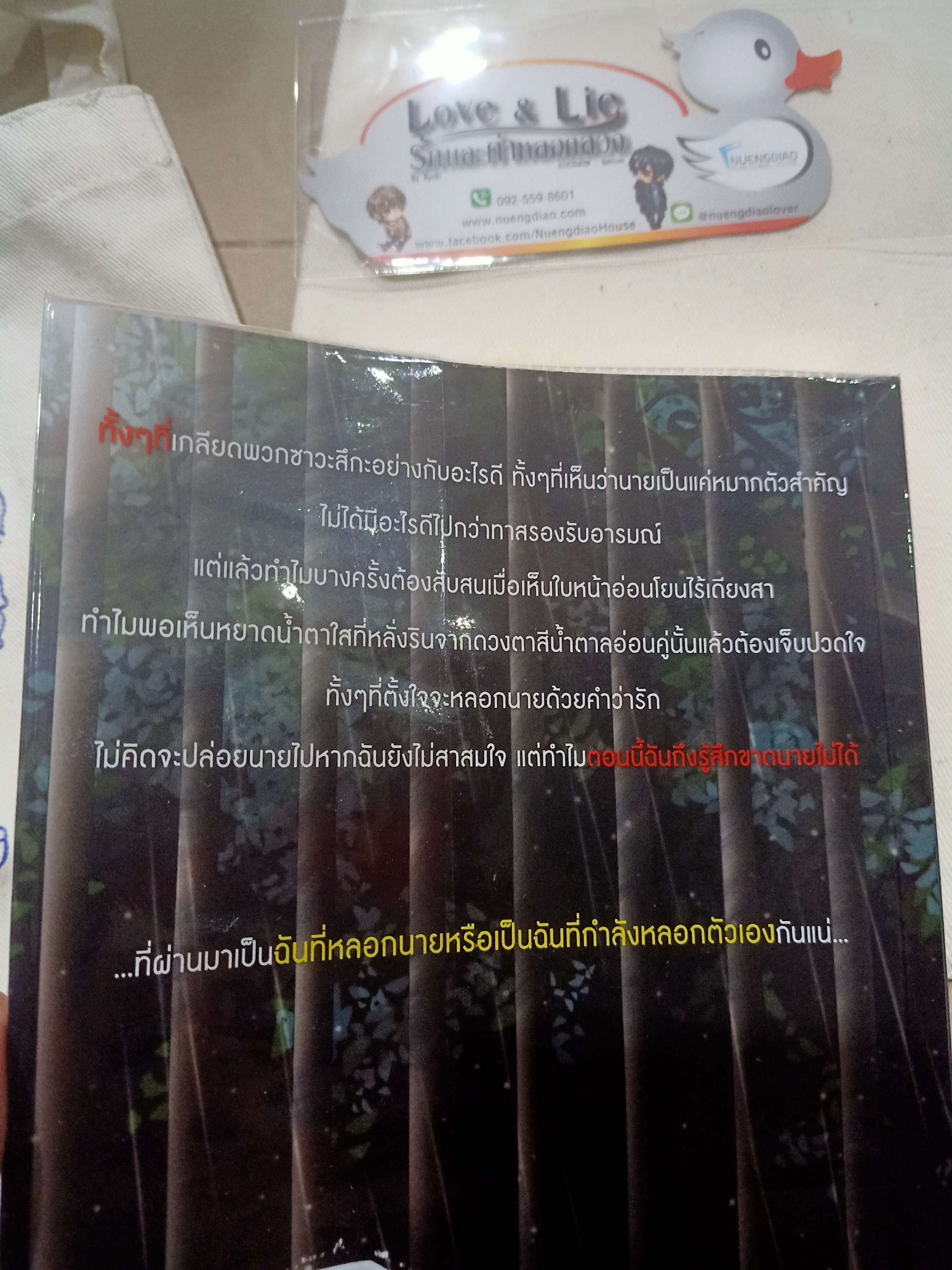 นิยาย รักและคำหลอกลวง รอบจอง