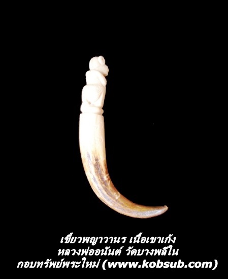 พญาวานร เนื้อเขาเก้ง หลวงพ่ออนันต์ วัดบางพลีใน