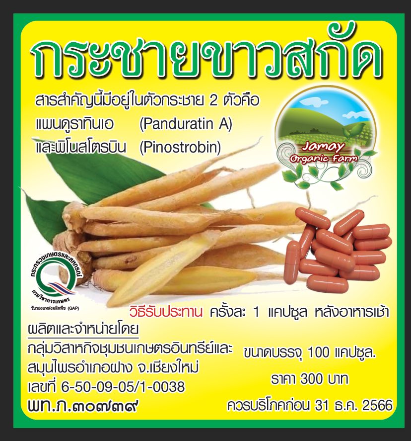 กระชายขาวสกัด บรรจุ 100 เม็ด มีอย. 50-2-05257-6-0115 ไม่ผสมอย่างอื่น กระชายสกัดเข้มข้น 100% กระชายขาวแคปซูล เป็นสารสกัดละลายน้ำได้ สกัดโดยเครื่อง Spray Dry กระชายขาวสกัด Galingale, Chinese ginger กระชายขาว ช่วยบำรุงธาตุ