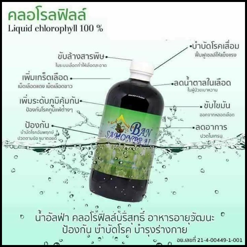 คลอโรฟิลล์ บ้านสมุนไพรชัยมงคล Cholophyll Bansamonprai