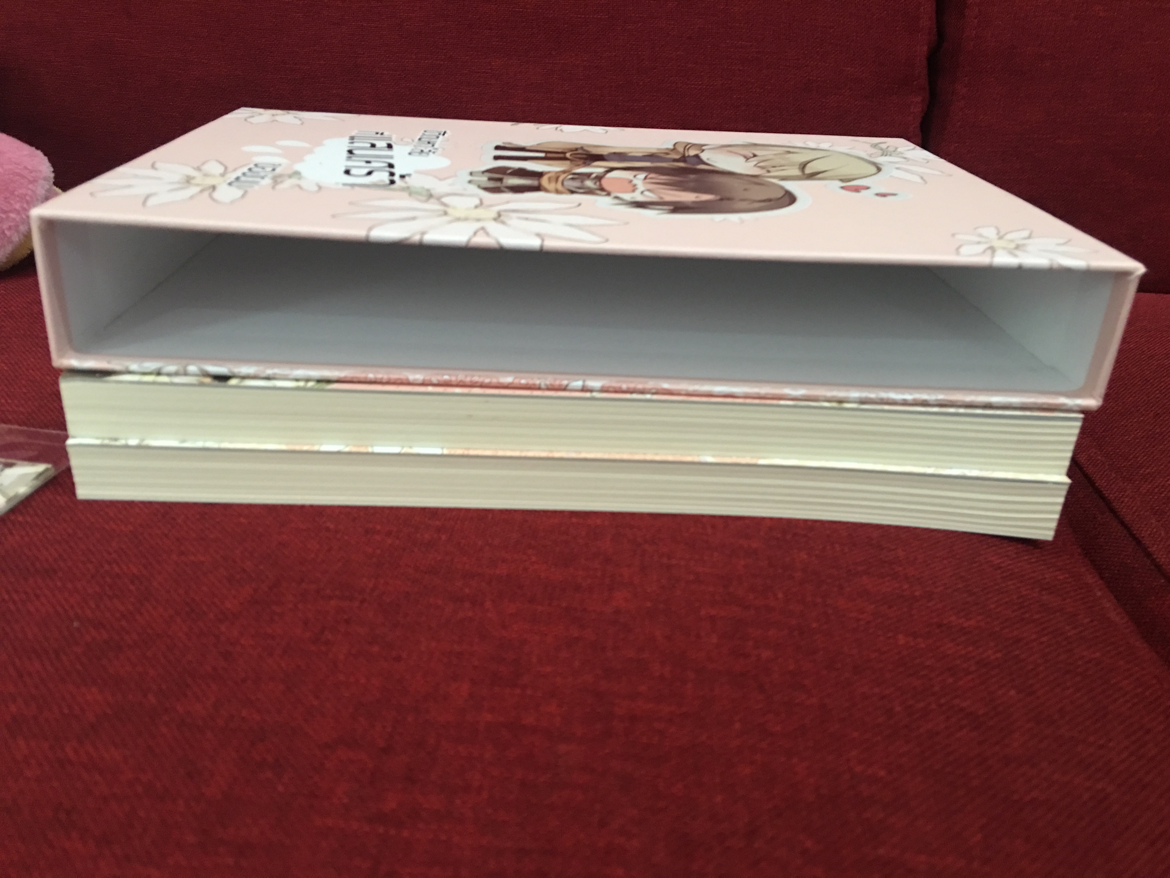 นิยายแปล ชีวิตมหาลัยที่แสนเศร้า