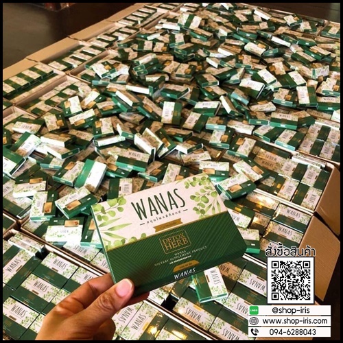 สมุนไพรดีท็อกซ์ WANAS Detox Herb (โปรส่งฟรี)