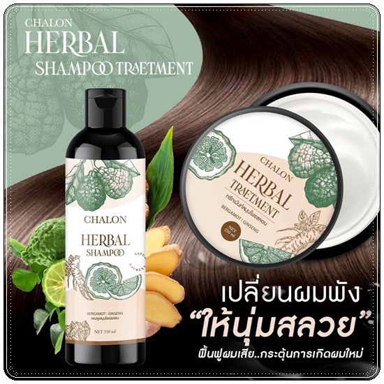 แชมพูมะกรูดชลอน Chalon Herbal Shampoo (แถมฟรี ทรีทเม้นชลอน)