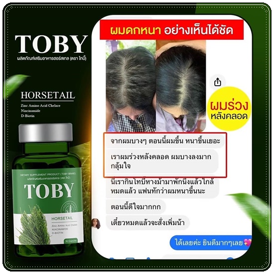 วิตามินลดผมร่วง เร่งผมยาว โทบี้ TOBY Horsetail