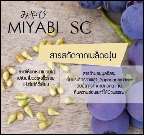 มิยาบิ เอสซี Miyabi SC คอลลาเจนสเต็มเซลล์