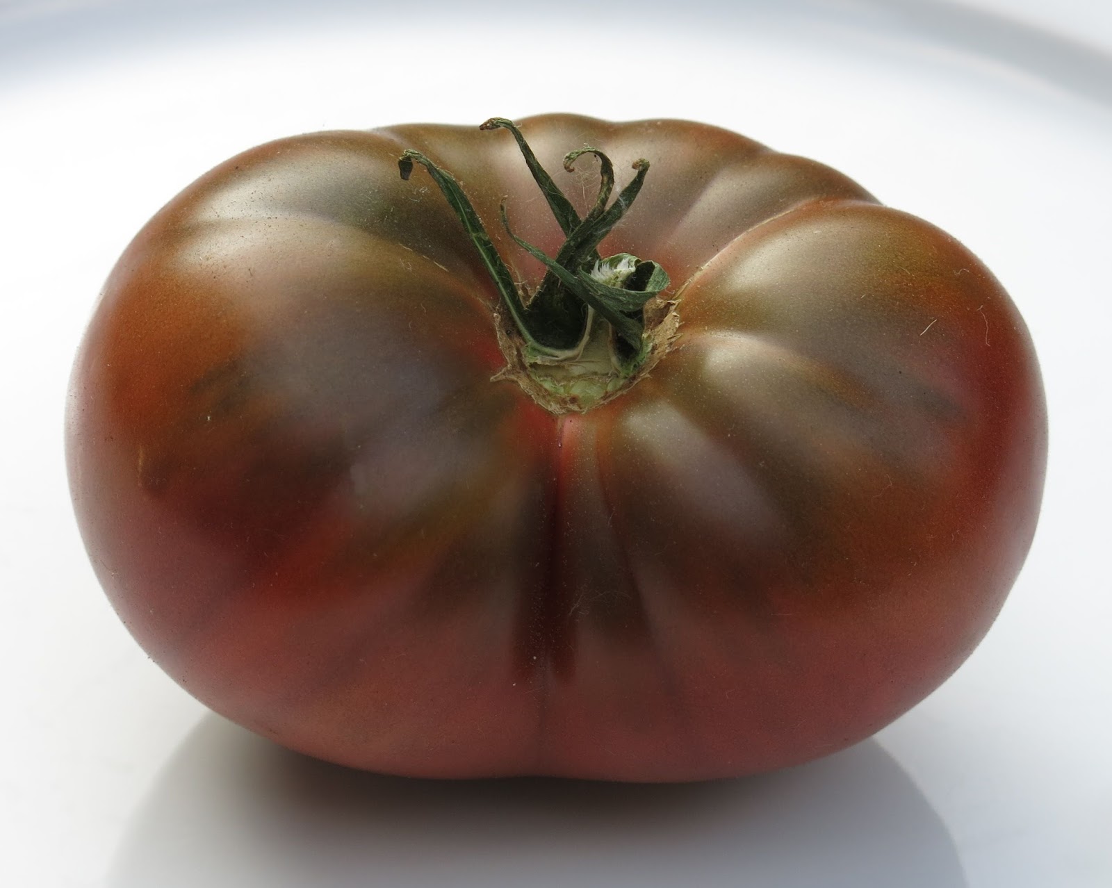 มะเขือเทศรัสเซียสีดำ - Black Russian Tomato